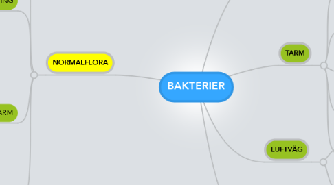 Mind Map: BAKTERIER
