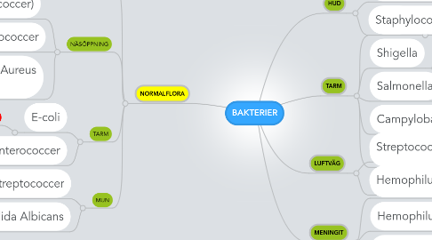 Mind Map: BAKTERIER