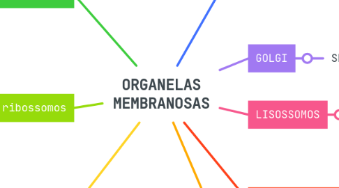 Mind Map: ORGANELAS MEMBRANOSAS