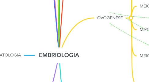 Mind Map: EMBRIOLOGIA