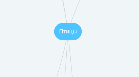 Mind Map: Птицы