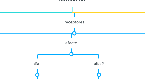 Mind Map: sistema nervioso autonomo