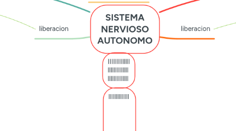 Mind Map: SISTEMA NERVIOSO AUTONOMO