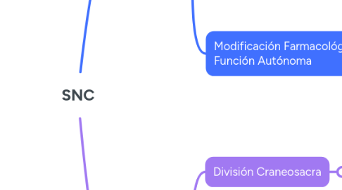 Mind Map: SNC