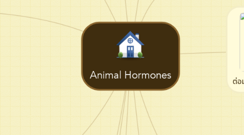 Mind Map: Animal Hormones