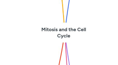 Mind Map: Mitosis and the Cell Cycle