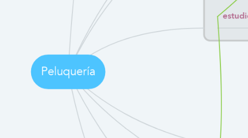 Mind Map: Peluquería