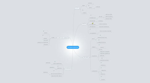 Mind Map: SISTEMAS DE GESTION