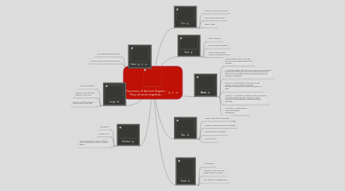 Mind Map: Functions of Animal Organs - They all work together...