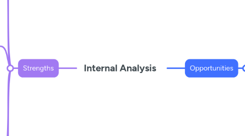 Mind Map: Internal Analysis