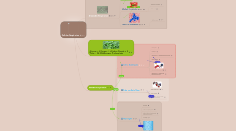 Mind Map: Cellular Respiration