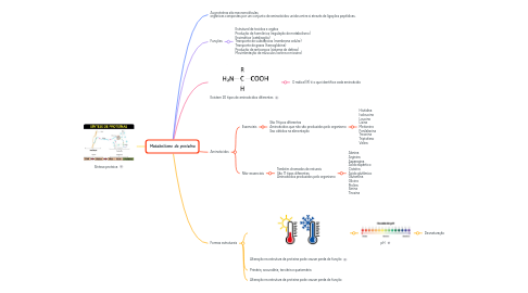 Mind Map: Metabolismo da proteína