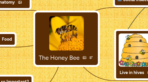 Mind Map: The Honey Bee