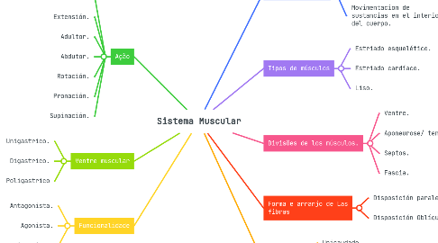 Mind Map: Sistema Muscular