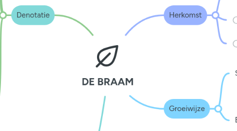 Mind Map: DE BRAAM