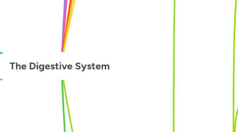 Mind Map: The Digestive System