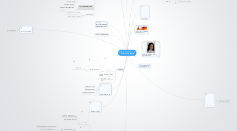 Mind Map: Aula 3 - Perspectivas da Gestão Empresarial