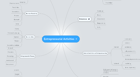 Mind Map: Entrepreneurial Activities