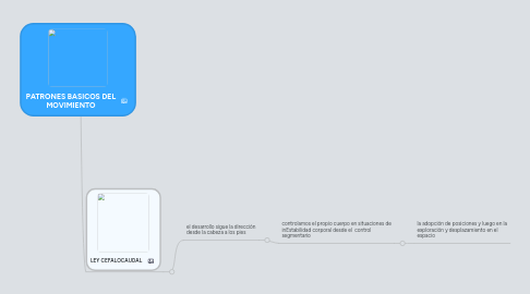 Mind Map: PATRONES BASICOS DEL MOVIMIENTO