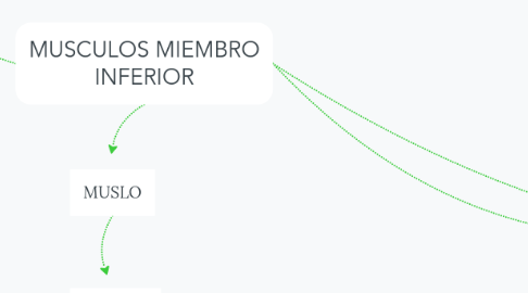 Mind Map: MUSCULOS MIEMBRO INFERIOR