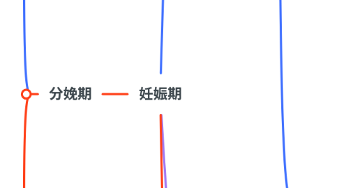 Mind Map: 妊娠期