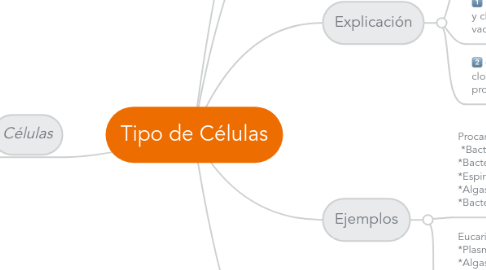 Mind Map: Tipo de Células