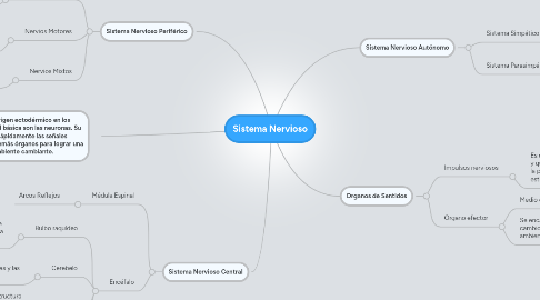 Mind Map: Sistema Nervioso