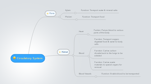 Mind Map: Circulatory System