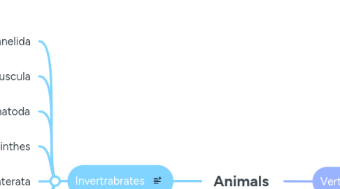 Mind Map: Animals