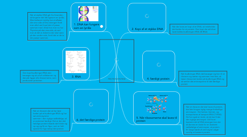 Mind Map: PROTEINSYNTESE