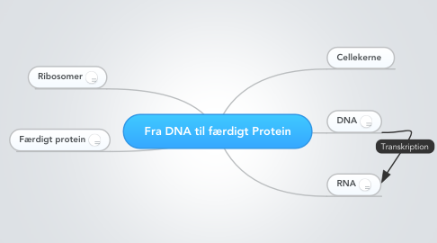 Mind Map: Fra DNA til færdigt Protein