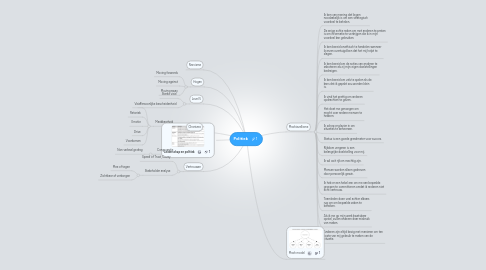 Mind Map: Politiek