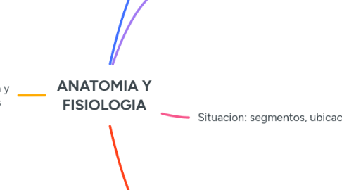 Mind Map: ANATOMIA Y FISIOLOGIA