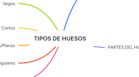 Mind Map: TIPOS DE HUESOS