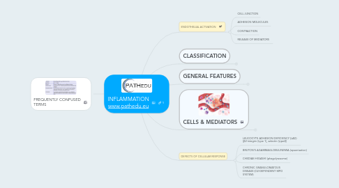 Mind Map: INFLAMMATION www.pathedu.eu