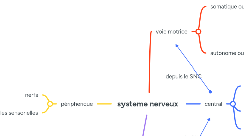 Mind Map: systeme nerveux