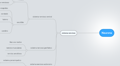 Mind Map: Neurona