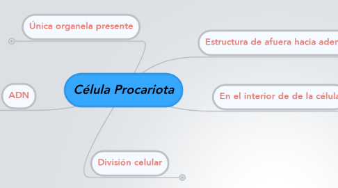 Mind Map: Célula Procariota