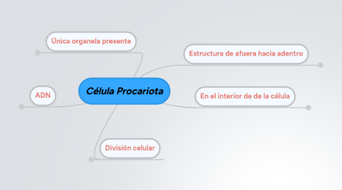 Mind Map: Célula Procariota