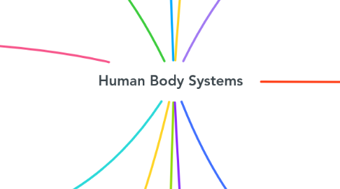 Mind Map: Human Body Systems
