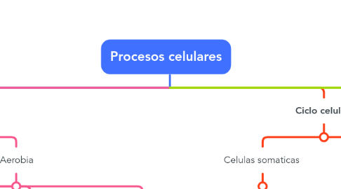Mind Map: Procesos celulares
