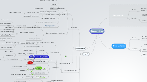 Mind Map: Cápsula interna