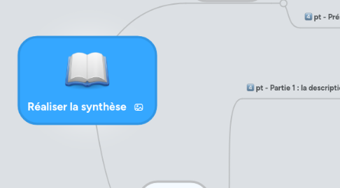 Mind Map: Réaliser la synthèse