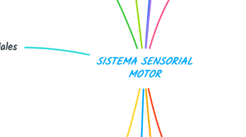 Mind Map: SISTEMA SENSORIAL MOTOR
