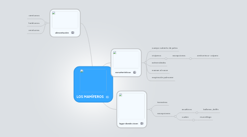 Mind Map: LOS MAMÌFEROS