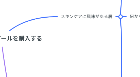Mind Map: タカミスキンピールを購入する