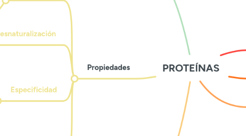 Mind Map: PROTEÍNAS