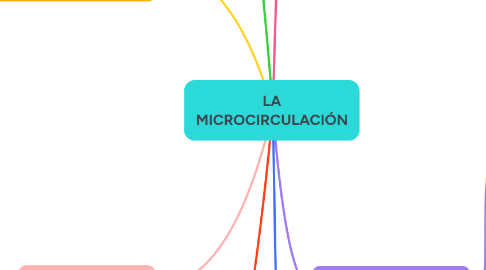 Mind Map: LA MICROCIRCULACIÓN
