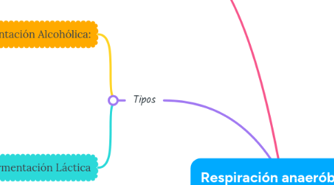 Mind Map: Respiración anaeróbica