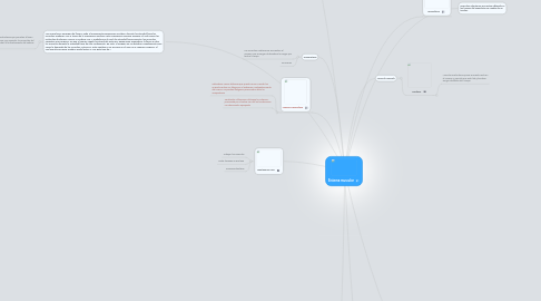 Mind Map: Sistema muscular